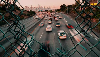 从茶园到茶桌:广佛精品茶室的选茶标准